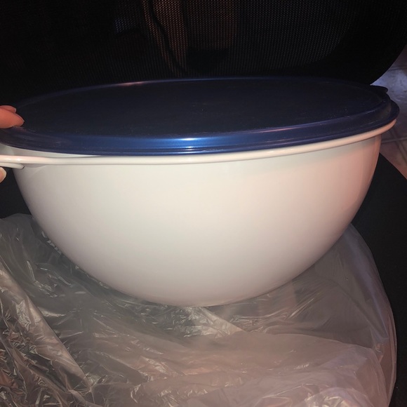 Brand new Tupperware Thatsa Bowl